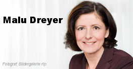 Banner zur Website www.maludreyer.de