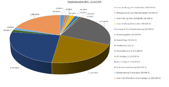 Haushaltsplan 2017