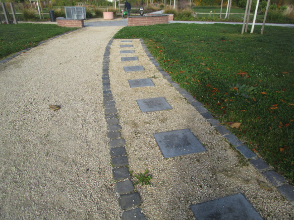 Urnengräber in Bodenheim